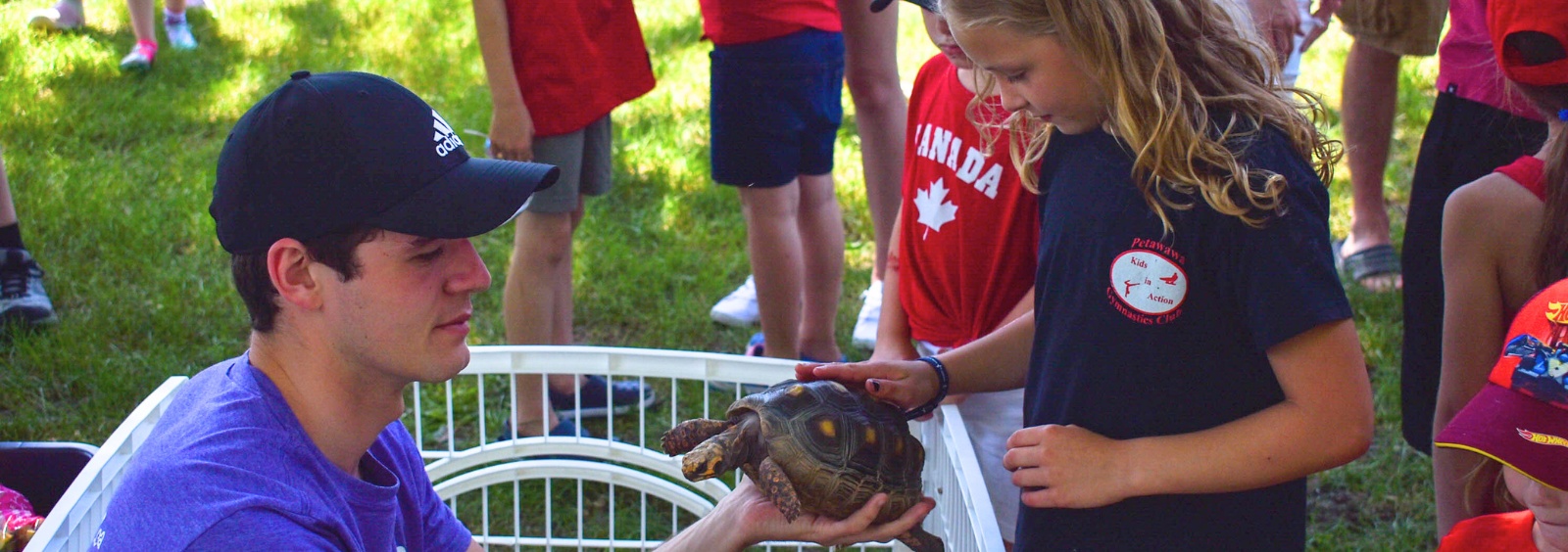A young child petting a turtle at a petting zoo.